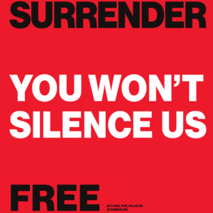 Yasmine Nabli @yasmine.nbl