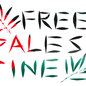 @ana_dias_ilustracao_bd