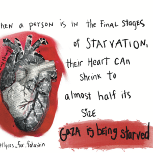 Erin Johnson @ejdrawsthings