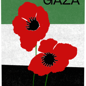 Marius Houschyar @houschyar.m