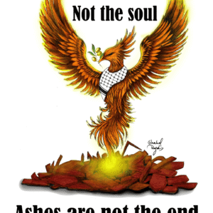 Shahd Rajab @shahd_rajab51