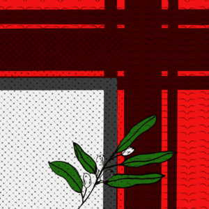 Secteur Nor @secteur_nor